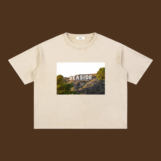 REP: $EA$IDE HOLLYWOOD